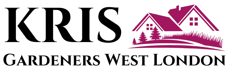 [company_name], [city], [postcode]